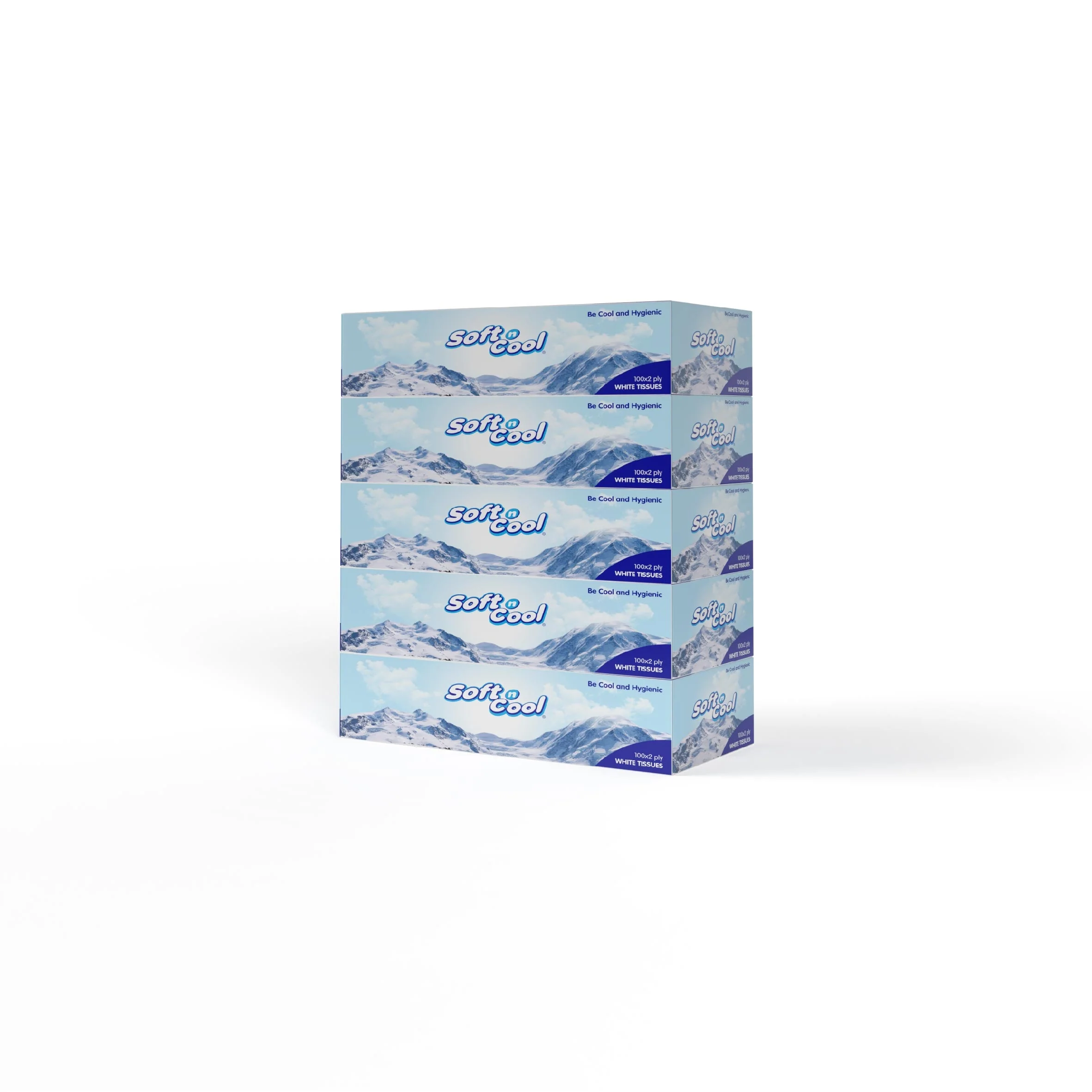 Soft n Cool Facial Tissue 100 Sheets X 2 Ply - Image 4