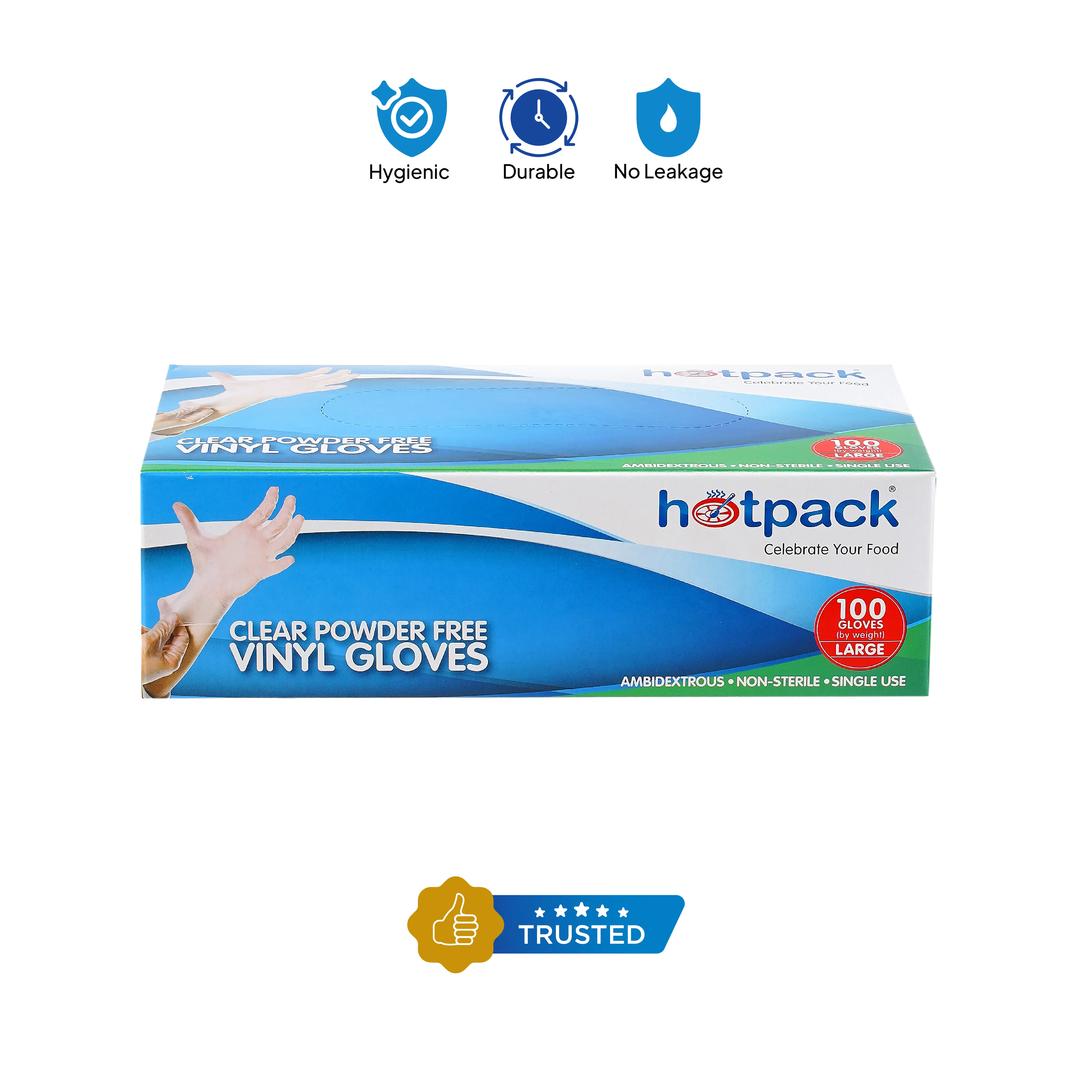 1000 Pieces Powder Free Vinyl Gloves - Image 3